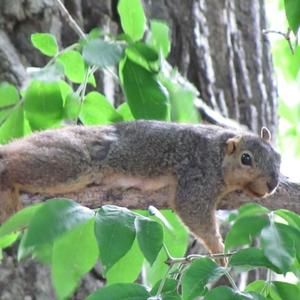 Meet your Posher, Patty